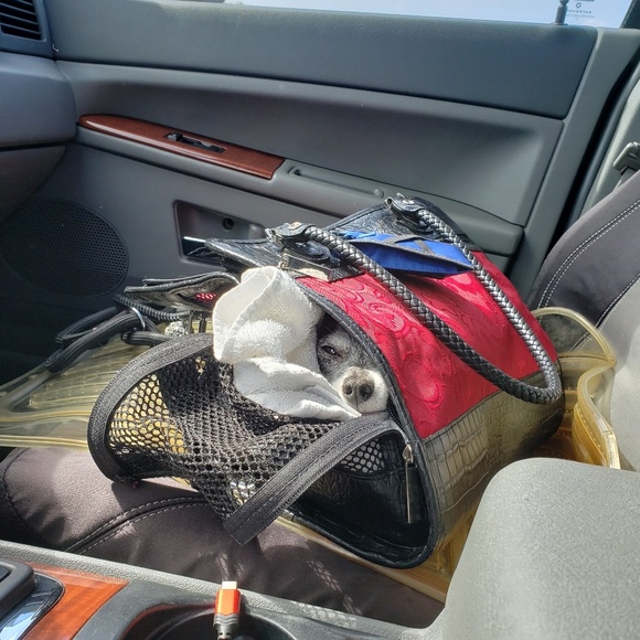 Meet your Posher, Me - Picture 2 of 8